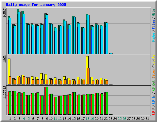 Daily usage for January 2025