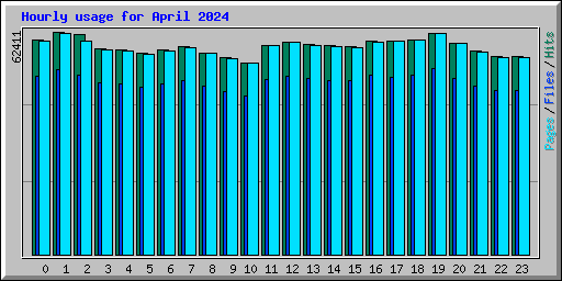 Hourly usage for April 2024