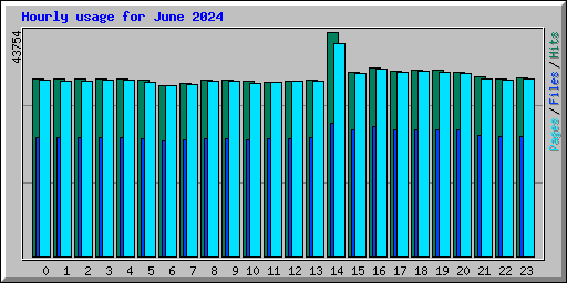 Hourly usage for June 2024