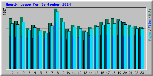 Hourly usage for September 2024