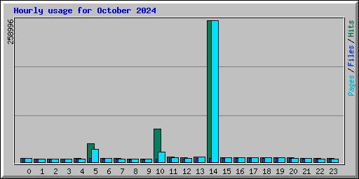 Hourly usage for October 2024