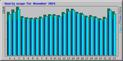 Hourly usage for November 2024