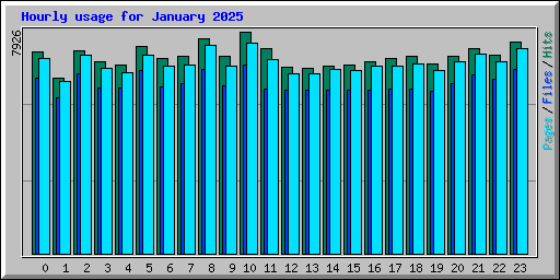 Hourly usage for January 2025