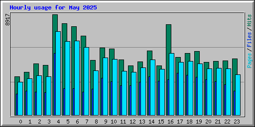 Hourly usage for May 2025